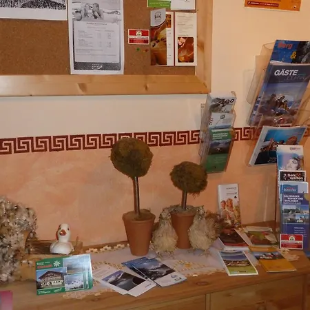 Гостевой дом Edelweiss Санкт-Мартин-ам-Тенненгебирге