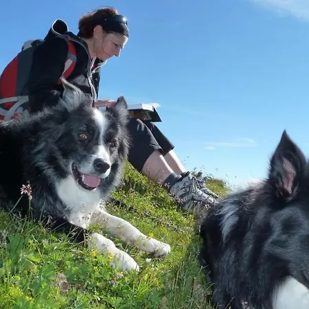 Edelweiss 2* Sankt Martin am Tennengebirge