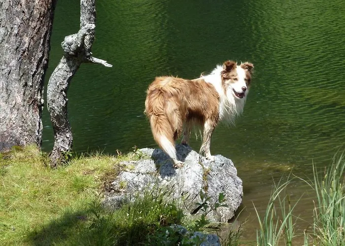 Penzion Edelweiss 2*